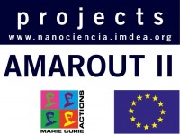 AMAROUT II-EUROPE